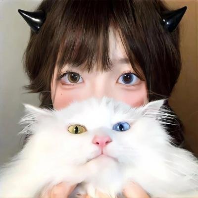 老头子第一季